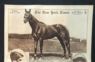 Man O’war Racing Horse 1920 York Times Picture Section Cover Photo