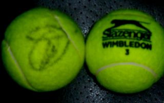 Novak Djokovic Autographed Wimbledon Tennis Ball