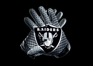 Oakland Raiders Gloves 36x24 Matte Poster Wall Art Or Buy 2 For $14