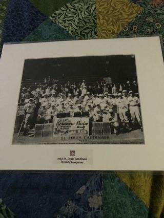 1934 St Louis Cardinals Baseball Photo