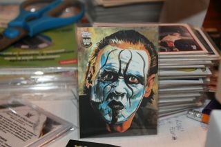 2019 Topps Wwe Undisputed Sting Rob Schamberger Art Rs - 9