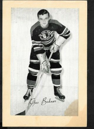 1945 - 64 Beehive Group Ii Nhl Hockey: Gus Bodnar,  Chicago Black Hawks,