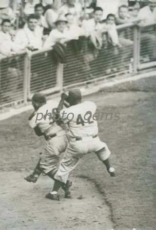 Jackie Robinson And Roy Campanella Fight For Foul Ball Photo