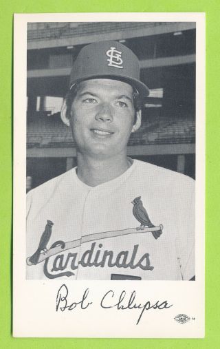 1970 St.  Louis Cardinals Team Issue Postcard - Bob Chlupsa Lpiu Union Label