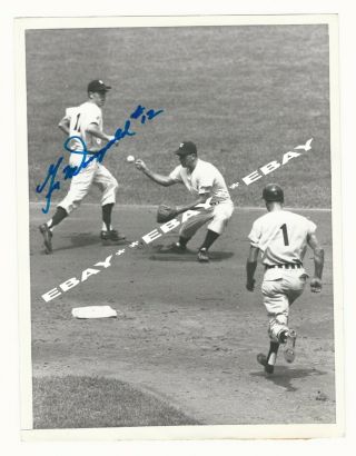 Gil Mcdougald 1959 York Yankees Hand Signed Autograph Press Photo Auto W/coa