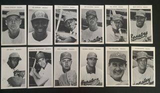 1970 Mlb Picture Pack Baseball Cards - Washington Senators Ted Williams