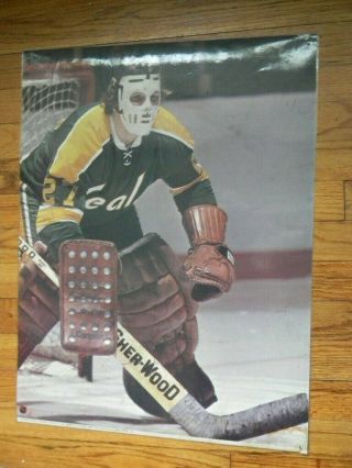Gilles Meloche Poster 18 " X 24 " Coated California Golden Seals Nhl Hockey Goalie