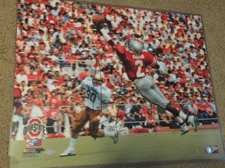 Chris Carter Ohio State Buckeyes Signed 16x20 Photo Steiner One Handed Catch