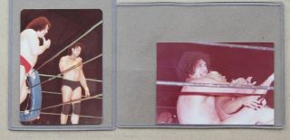 Vintage Photographs Andre The Giant Wwf Photos 1983 Jimmy Snuka Wwe