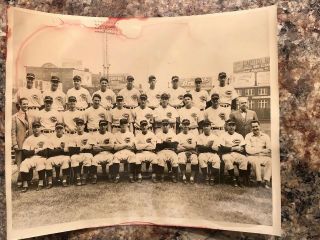 Cincinnati Reds Baseball Team Photo,  Circa 1940s,  Sporting News,  Crosley Field
