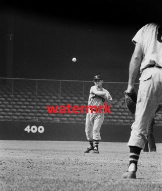 1955 Nellie Fox Chicago White Sox Al Hof 8x10 Photo Cc