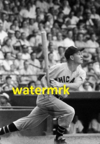 1955 Nellie Fox Chicago White Sox Al Hof 8x10 Photo C