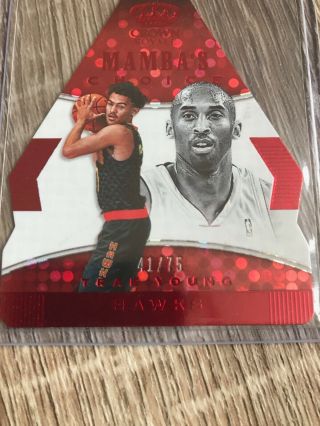 Trae Young 2018 - 19 Crown Royale Mamba ' s Choice Red Rookie RC 41/75 5 3
