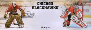 Tony Esposito Chicago Blackhawks Signed 10x30 Goalie Pano Photo & Hof 1988 Insc