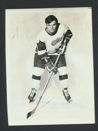Marcel Dionne 1972 - Detroit Red Wings Vintage Nhl Hockey Press Photo
