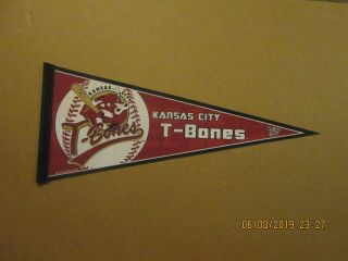 American Association Kansas City T - Bones Vintage Team Logo Baseball Pennant