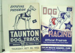 Greyhound Racing Taunton Ma & Palm Beach Kennel Club,  1955,  1956