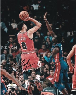 Nba Basketball Zach Lavine Bulls Wolves Autographed Signed 8x10 Photo