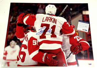Dylan Larkin Signed Detroit Red Wings 16x20 Photo Psa/dna Rookie Graph