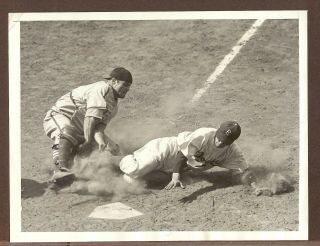 1947 Press Photo Ed Stanky Of The Dodgers Tagged Out By Joe Garagiola Of Cards