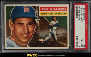 1956 Topps Ted Williams White Back 5 Psa 6 Exmt (pwcc)