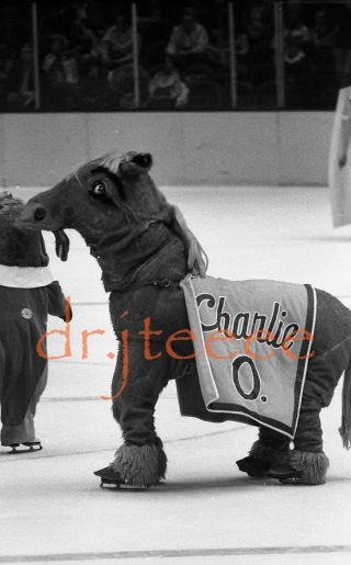 Charlie - O Oakland Seals - 35mm Hockey Negative