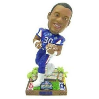 Green Bay Packers Ahman Green 2003 Pro Bowl Forever Collectibles Bobble Head