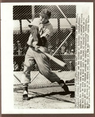 1954 Press Photo Stan Musial Of The St.  Louis Cardinals Up Close In Batting Cage