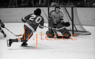 1973 Gilles Meloche Golden Seals - 35mm Hockey Negative
