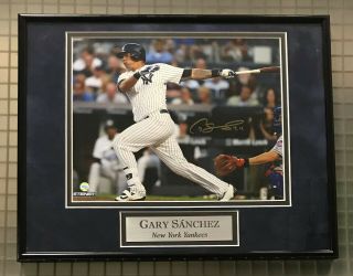 Gary Sanchez Signed 8x10 Photo Autographed Auto Framed 11x14 Steiner Yankees