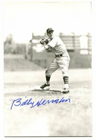 Billy Herman Cubs Signed 3.  5 X 5.  5 Vintage Postcard
