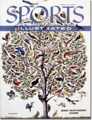 May 16,  1955 Bird Watchers Guide Bird Watching Sports Illustrated No Label