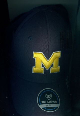 2019 College World Series Cws Michigan Wolverines Hat Cap Onefit
