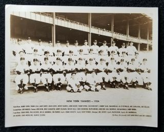 1954 York Yankees A.  L.  Champs 8x10 Vintage Team Photo Mickey Mantle