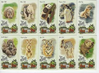 2019 Topps Allen & Ginter To The Zoo Mini Insert Near Set 10/20 No Dupes