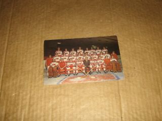 Ottawa Nationals (wha) 1972/73 Team Issue Postcard Color Team Picture