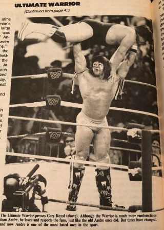 1989 Pro Wrestling Illustrated RIC FLAIR POSTER DUSTY RHODES ULTIMATE WARRIOR 3