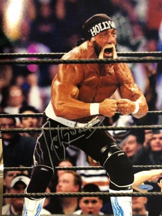 Wwe Wwf Wcw Hollywood Hulk Hogan Signed Autographed 11x14 Photo W/cert (tristar)
