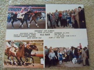 8x10 Composite Photo From 1984 Breeders 
