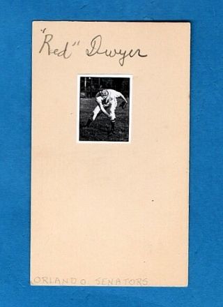1939 Arthur " Red " Dwyer - Orlando Senators Autographed 3x5 Card W/pic - (d.  2002)