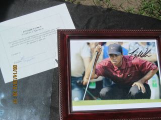 Tiger Woods Autographed Hand Signed Photo With Infinite Visions Framed