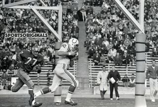 35mm B&w Negative - Raymond Berry - Baltimore Colts - Td Vs 49ers - 1966