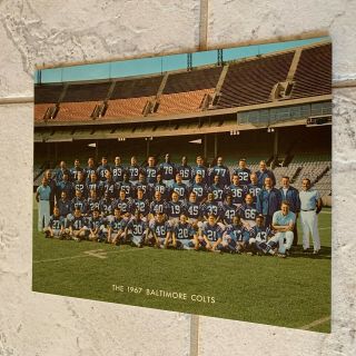 The 1967 Baltimore Colts 8x10 Team Photo Postcard Nfl Football Johnny Unitas
