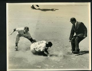 Don Buddin & Al Pilarcik 1958 Press Photo Boston Red Sox Baltimore Orioles