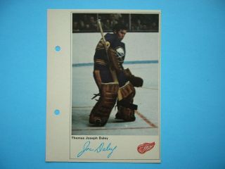 1971/72 Toronto Sun Nhl Action Hockey Photo Joe Daley Sharp 71/72 Ts