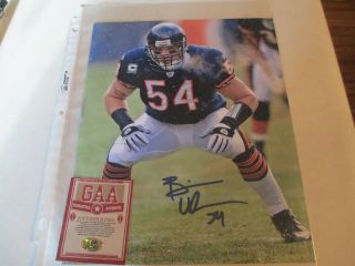 Brian Urlacher Hand Signed Autographed Chicago Bears 8x10