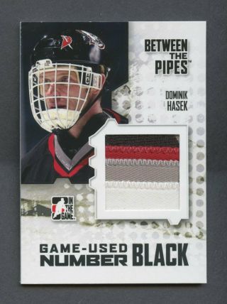 2010 In The Game Itg Between The Pipes Dominik Hasek 4 - Color Patch