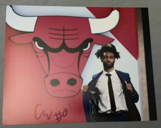 Coby White (chicago Bulls) Signed Autographed 8x10 Photo - (1)