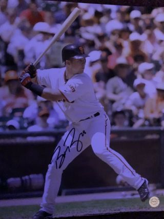 Buster Posey Hand Signed San Francisco Giants 8x10 Photo W/coa & Protective Case