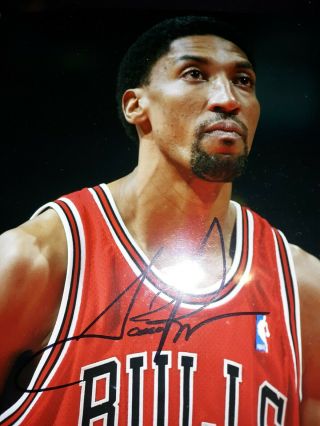 Scottie Pippen Nba Chicago Bulls Signed Autograph Auto Photo Gai